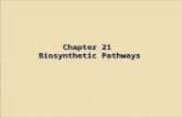 Chapter 21 Biosynthetic Pathways. Introduction In most living organisms, the pathways by which a compound is synthesized are usually different from the.