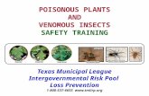 Texas Municipal League Intergovernmental Risk Pool Loss Prevention 1-800-537-6655 .