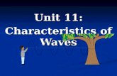 Unit 11: Characteristics of Waves. Waves  Waves are rhythmic disturbances that carry energy through matter or space  A wave is the result of energy.