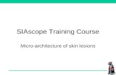SIAscope Training Course Micro-architecture of skin lesions.
