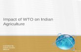 Impact of WTO on Indian Agriculture Submitted By: Sakshi Guraba MBA-IB 1.
