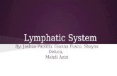 Lymphatic System By: Joshua Paolillo, Gianna Fusco, Shayna Deluca, Mehdi Azizi.