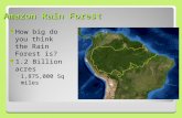Amazon Rain Forest How big do you think the Rain Forest is? 1.2 Billion acres ◦1,875,000 Sq miles.
