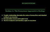 ECOSYSTEMS Section A: The Ecosystem Approach to Ecology 1.Trophic relationships determine the routes of energy flows and chemical cycling in an ecosystem.