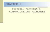 CHAPTER 5 CULTURAL PATTERNS & COMMUNICATION:TAXONOMIES.