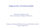 Epigenomics: A Practical Guide Benjamin Rodriguez, PhD Wei Li Lab, Baylor College of Medicine Molecular Biology Refresher Course with Bioinformatics August.
