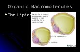 Organic Macromolecules The Lipids The Lipids. What are lipids Lipids are what are commonly referred to as fats. Waxes and oils are also lipids. Lipids.