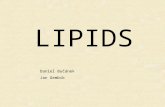 LIPIDS Daniel Bučánek Jan Gembík. Lipids Fatty acids Glycerides Nonglycerol lipids Complex lipids.