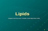 Lipids (Adapted in part from Larry J. Scheffler, Lincoln High School, 2009) 1.