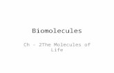 Biomolecules Ch - 2The Molecules of Life. Molecules are combinations of atoms What are the 4 elements that make up 96% of living matter? Carbon C Oxygen.
