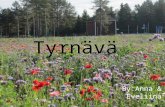 Tyrnävä By:Anna & Eveliina. Farms in Tyrnävä  There are lots of farms in Tyrnävä.  Main crops are potatoes, barley and oat.  There are also cattle.