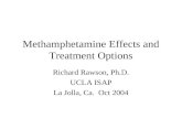 Methamphetamine Effects and Treatment Options Richard Rawson, Ph.D. UCLA ISAP La Jolla, Ca. Oct 2004.