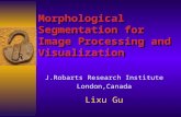Morphological Segmentation for Image Processing and Visualization J.Robarts Research Institute London,Canada Lixu Gu.