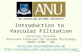 CS 2015 Introduction to Vascular Filtration Christian Stricker Associate Professor for Systems Physiology ANUMS/JCSMR - ANU Christian.Stricker@anu.edu.au.