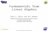 Fundamentals from Linear Algebra Ghan S. Bhatt and Ali Sekmen Mathematical Sciences and Computer Science College of Engineering Tennessee State University.