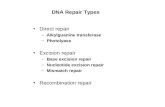 DNA Repair Types Direct repair –Alkylguanine transferase –Photolyase Excision repair –Base excision repair –Nucleotide excision repair –Mismatch repair.