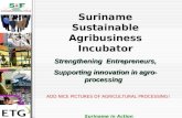 . Suriname in Action Suriname Sustainable Agribusiness Incubator Strengthening Entrepreneurs, Supporting innovation in agro- processing ADD NICE PICTURES.