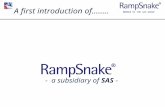 MEMBER OF THE SAS GROUP A first introduction of…….. - a subsidiary of SAS -
