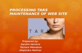 PROCESSING TARS MAINTENANCE OF WEB SITE Prepared by: Sandra Herrera Tamara Mendoza Alejandra Molinar.