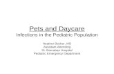 Pets and Daycare Infections in the Pediatric Population Heather Becker, MD Assistant Attending St. Barnabas Hospital Pediatric Emergency Department.