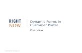 © 2008 RightNow Technologies, Inc. Dynamic Forms in Customer Portal Overview.