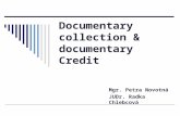 Documentary collection & documentary Credit Mgr. Petra Novotná JUDr. Radka Chlebcová.