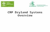 CRP Dryland Systems Overview. Selection of benchmark areas & action sites 1.Reducing vulnerability (SRT2 type) 2.Sustainable intensification (SRT3 type)