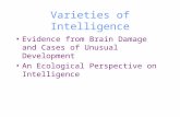 Varieties of Intelligence Evidence from Brain Damage and Cases of Unusual Development An Ecological Perspective on Intelligence.