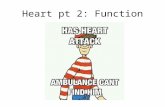 Heart pt 2: Function. Cardiac Cycle The heart goes through the cardiac cycle to contract and pump blood through the body efficiently The cycle is deemed.