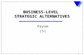 1 BUSINESS-LEVEL STRATEGIC ALTERNATIVES Payne (5).
