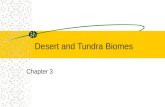 Desert and Tundra Biomes Chapter 3. 7.1 Deserts Objectives Describe the characteristics of a desert Explain how desert organisms adapt to live in their.
