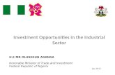Investment Opportunities in the Industrial Sector July 2012 H.E MR OLUSEGUN AGANGA Honorable Minister of Trade and Investment Federal Republic of Nigeria.
