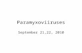 Paramyxoviiruses September 21,22, 2010. rinderpest and the beginning of modern veterinary medicine Giovanni Maria Lancisi.