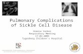 Pulmonary Complications of Sickle Cell Disease Aneesa Vanker Respiratory Meeting 17-03-2009 Tygerberg Children`s Hospital.