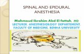 1. 7 November 2009Dr. Med. Khaled Radaideh2 Objectives of the Lecture A- Spinal Anesthesia 1. Definition 1. Definition 2. Advantages 2. Advantages 3.