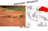 Komodo Dragons By: Nadia Introduction Do you want to learn about the Komodo Dragon well then you have came to the right person because I can tell you.