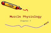 Muscle Physiology Chapter 7. Skeletal Muscle Tissue Striated Elongated Fibers Voluntary Nervous Control Located Near Bones.
