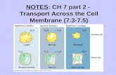 NOTES: CH 7 part 2 - Transport Across the Cell Membrane (7.3-7.5)