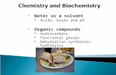 Water as a solvent  Acids, bases and pH  Organic compounds  Hydrocarbons  Functional groups  Dehydration synthesis/ hydrolysis.