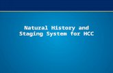 Natural History and Staging System for HCC. Child–Pugh scoring system Points 123 Encephalopathy (grade)None1–23–4 AscitesNoneSlightModerate Albumin (g/dL)>3.52.8–3.5