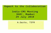 Report to the Collaboration India-CMS Meeting BARC, Mumbai 29 July 2010 A.Gurtu, TIFR.