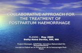 COLLABORATIVE APPROACH FOR THE TREATMENT OF POSTPARTUM HAEMORRHAGE FLASOG : May 2005 Betty-Anne Daviss, RM, MA Project Manager, ICM/FIGO, Iniciativa Maternidad.