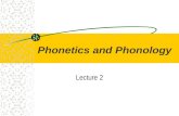 Phonetics and Phonology Lecture 2. Production of sounds Human language displays a wide variety of sounds, but not all the sounds that humans are capable.
