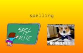 Spelling. Spelling Rules  VM&safe=active  VM&safe=active