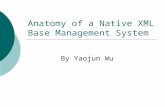 Anatomy of a Native XML Base Management System By Yaojun Wu.