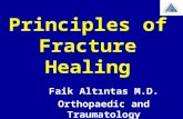 Principles of Fracture Healing Faik Altıntas M.D. Orthopaedic and Traumatology.