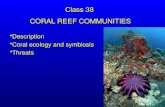 DescriptionDescription Coral ecology and symbiosisCoral ecology and symbiosis ThreatsThreats Class 38 CORAL REEF COMMUNITIES.