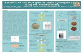 Kristin Rosche, Emily Thornsen & Lloyd Turtinen  Department of Biology  University of Wisconsin-Eau Claire Knockout of the US29 gene of Human Cytomegalovirus.