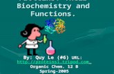 By: Quy Le (#6) URL: ://proteins1.tripod.com Organic Chem. 12 B Spring-2005 Proteins: Their Biochemistry and Functions.
