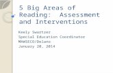 5 Big Areas of Reading: Assessment and Interventions Keely Swartzer Special Education Coordinator MAWSECO/Delano January 20, 2014.